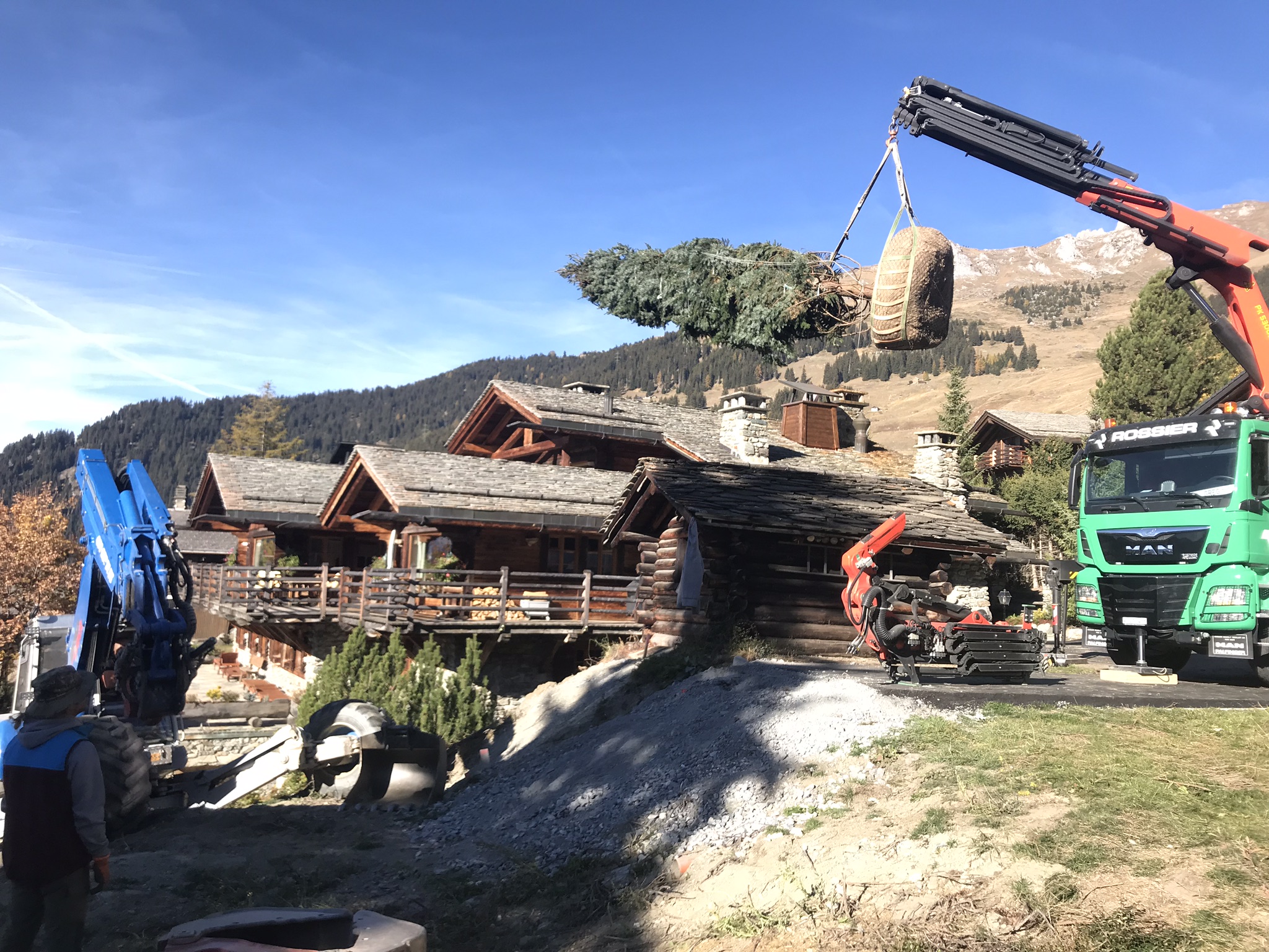 Big-tree-planting-verbier