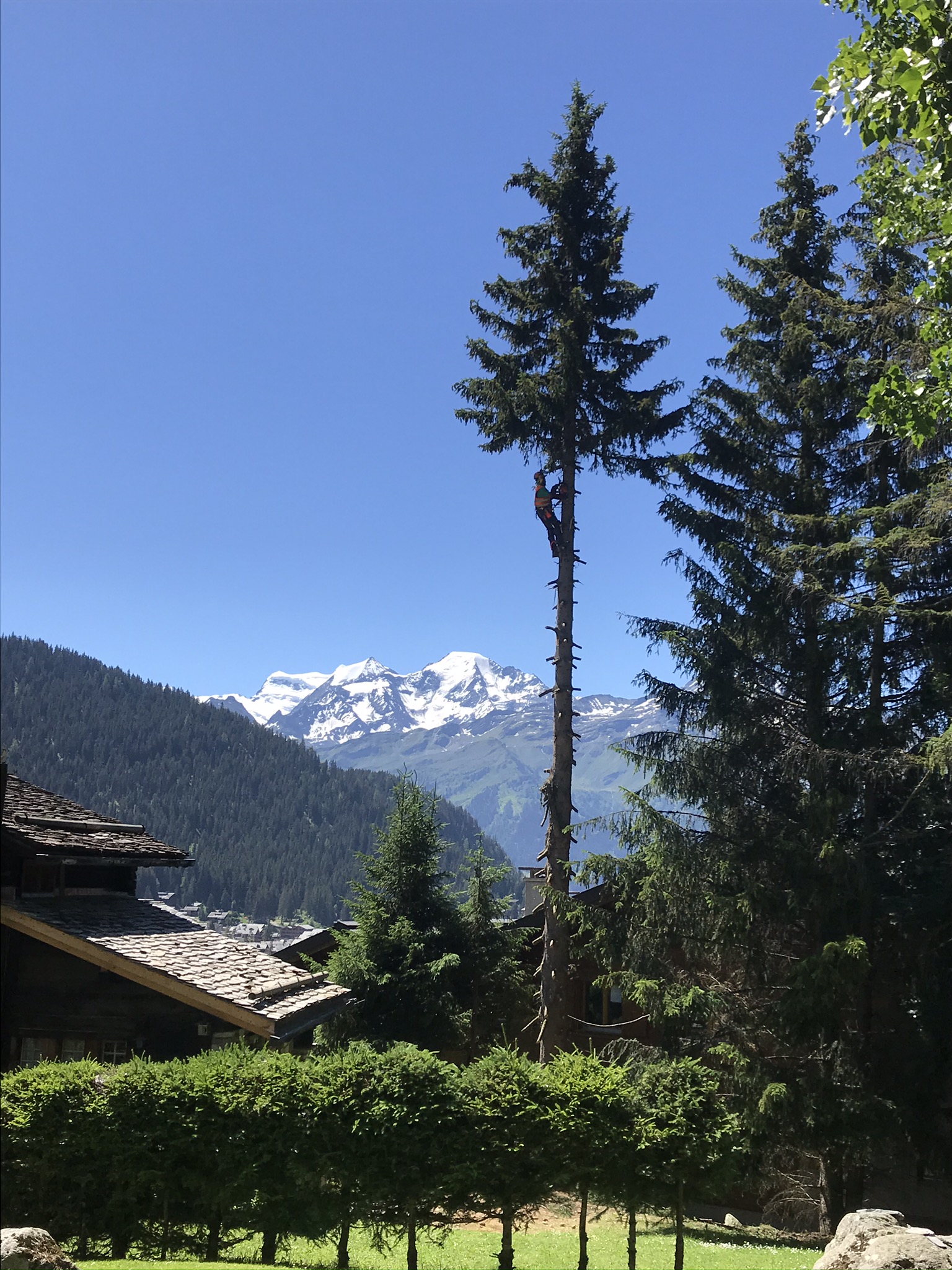 Coupe-arbre-verbier-bagnes