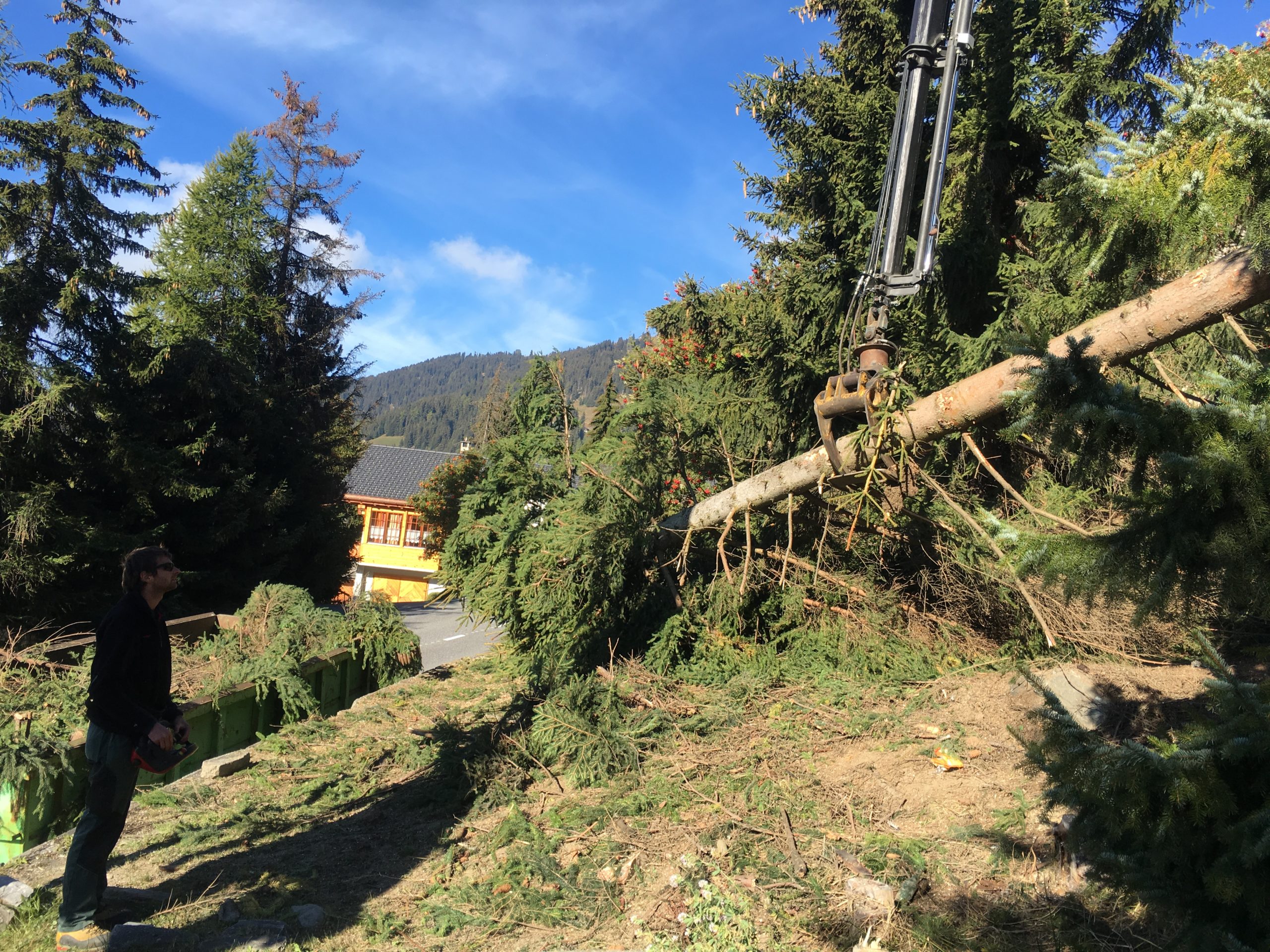 Coupe-d-arbre-verbier-bagnes