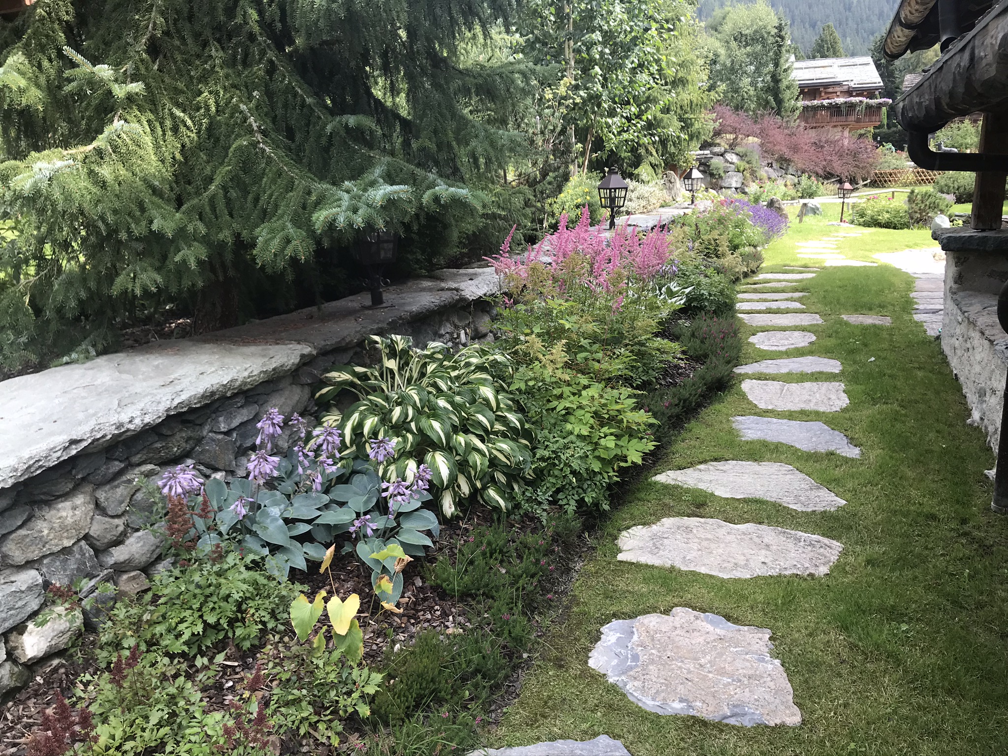 Plantation-ombre-shadow-planting-verbier